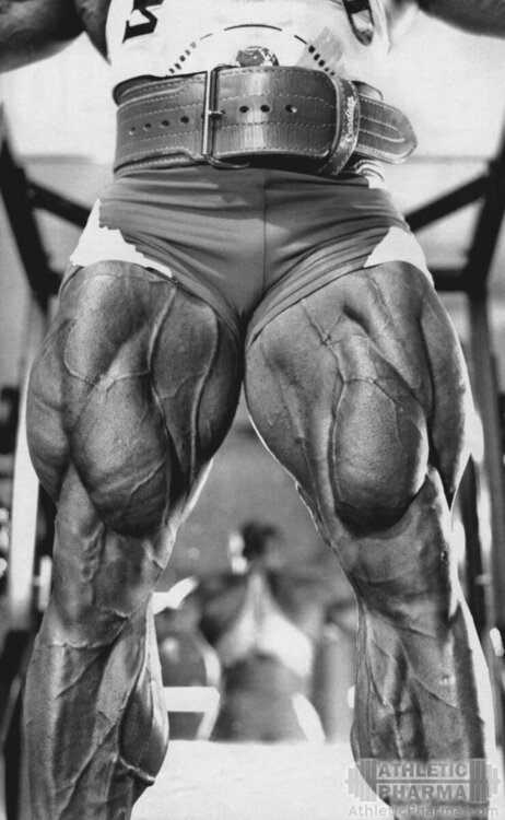 Развитие ног Тома Платца